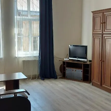 2 Bedroom On Tomashivskogo Street 7 Apartment *